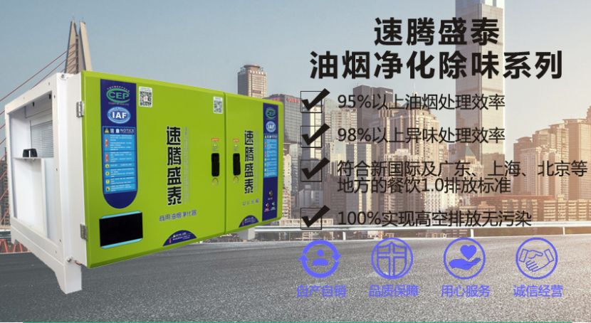 天博官方网站(中国)有限公司/STYTJ-4K 油烟净化除味一体机